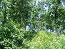 DSCF4020