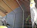 DSC02545