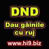 dnd dau gainile cu roj
