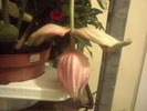 Imag023