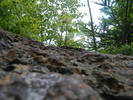 DSCF6028