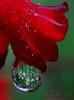 from_220_ro_13928