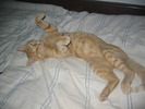 Picture 034