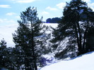 DSCF6960