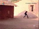 Image1117-0909(nationaltv)[4]