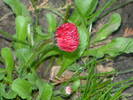 P1010616