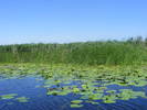 Picture 299