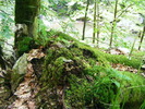 DSCF5092