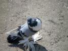 SANY0010