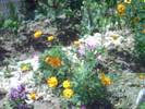 PICT0066