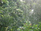 DSCI0757