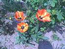 Imag068