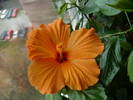 P1100020