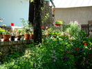 DSC01778_01