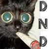 Avatars DND Messenger Poze Cu Pisici Neastamparate Care Fumeaza in Draci