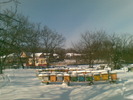 21012010(002)