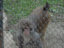 Picture 139
