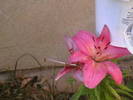 Picture 014
