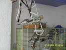 SDC10859