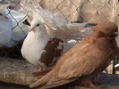 DSC01841