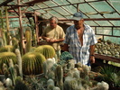 videok 082