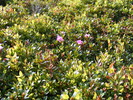 DSCF0603
