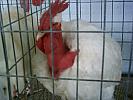 PICT0156