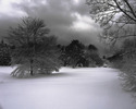 nature (107)