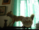 DSCN1703