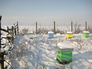 IMG_0035 (3)