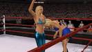 wwe-smackdown-vs-raw-2009-20080915092701041