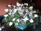 Imag008