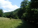 DSCF2526