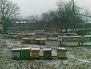 februarie 2009