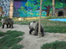 Picture 018