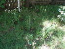 DSC09228