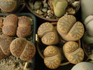 DSC01548