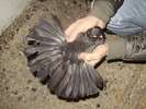 P9040207