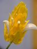 DSCF1680