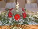 31 aug 2008 036