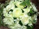 DSC00053