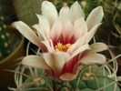 DSC01510