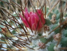 DSC00622