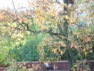 Picture 635