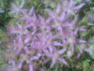 Imag021