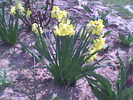 Imag065