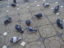 P9040040