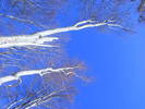 DSCF7857