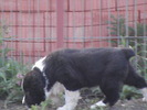 poze 04.05.2009 121