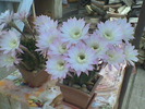 Imag042